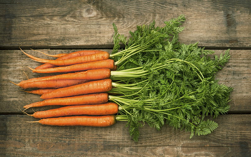 Carrot Salad Recipe