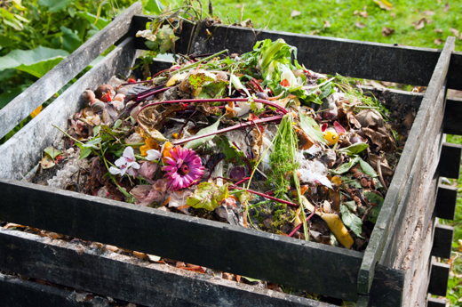 How to Start a Compost Pile in 4 Easy Steps