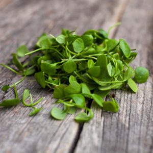 May’s Salad: Watercress and Walnuts with a Citrus Vinaigrette