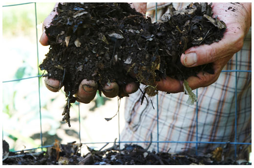 Not All Compost Is Created Equal