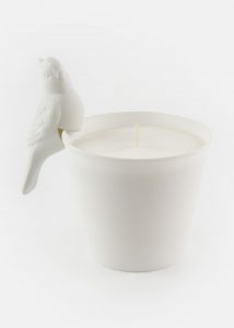 Aviary Soy Candle from Rodale's