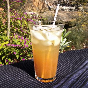 Spiced Apple Cider Spritzer