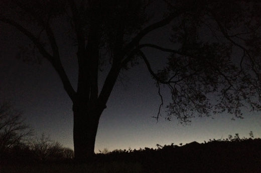 12 Days of Winter Meditations: Day 1