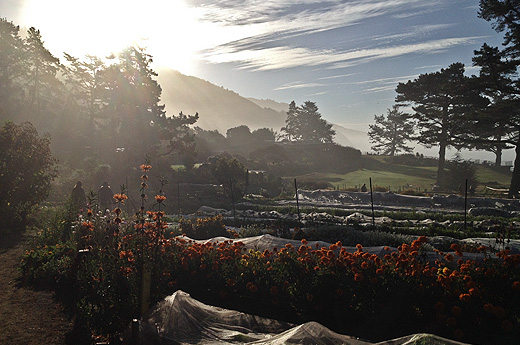 esalen2