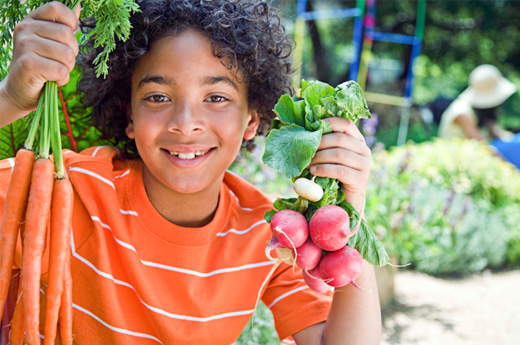 Organic Gardening’s Going to School