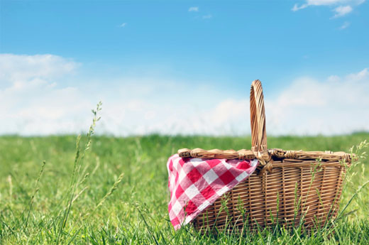 Maria's Five Favorites: It's Picnic Time!