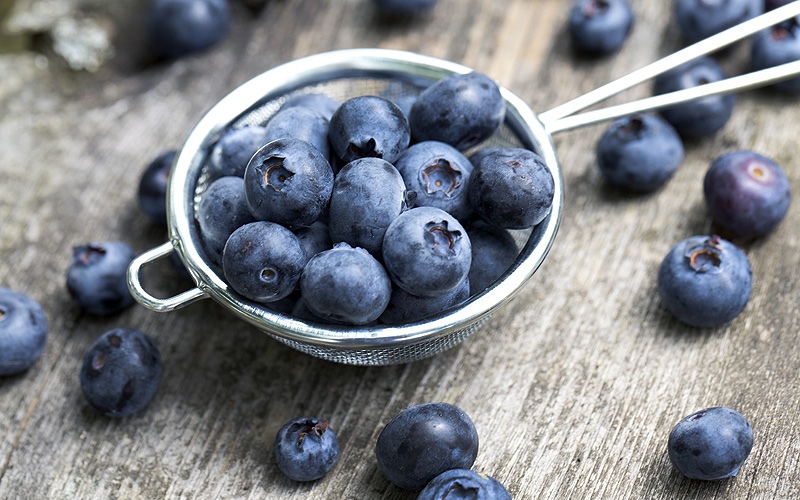 blueberries_brainfood