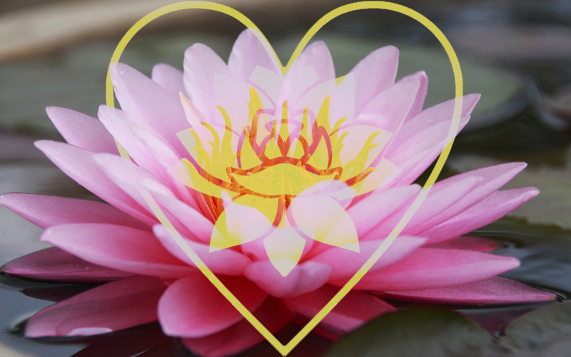 Lotus_Valentines Day Yoga