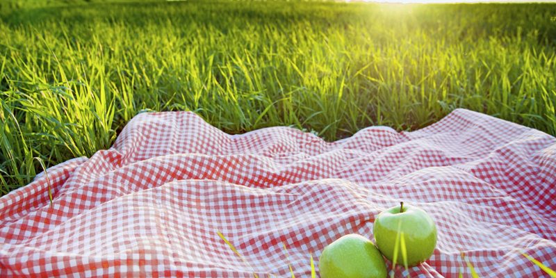 Maria's Five Favorites: It's Picnic Time Again!