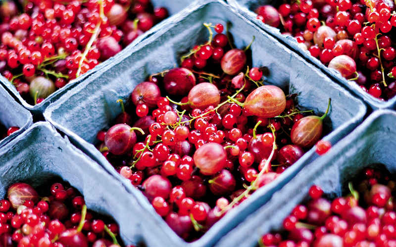 Growing Beautiful Food - Matthew Benson