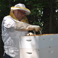 Jeff Csatari - Beekeeping