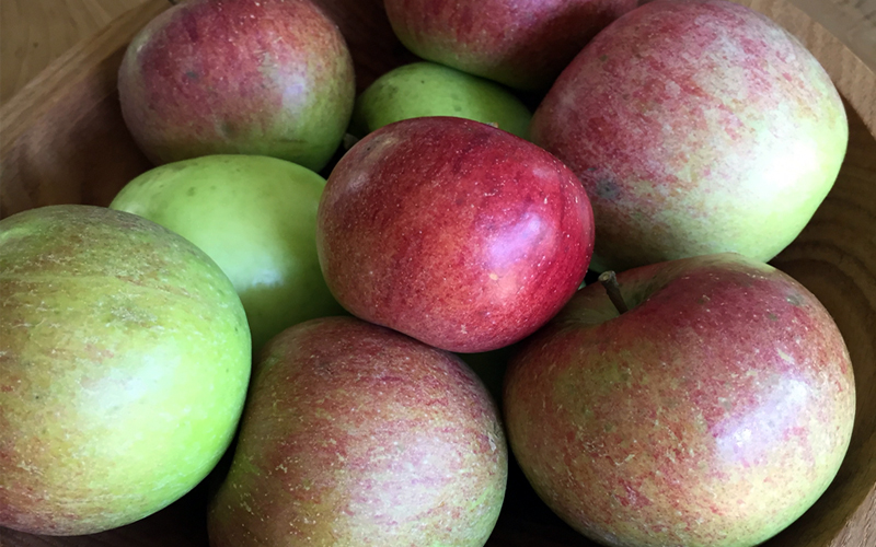 http://www.mariasfarmcountrykitchen.com/wp-content/uploads/2015/09/The-Impact-of-Organic-Apples.jpg