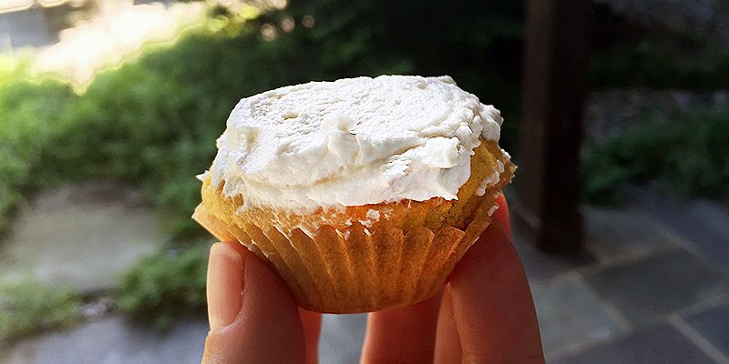 Homemade Vanilla Cupcakes