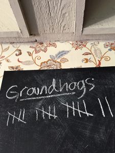 Groundhogs