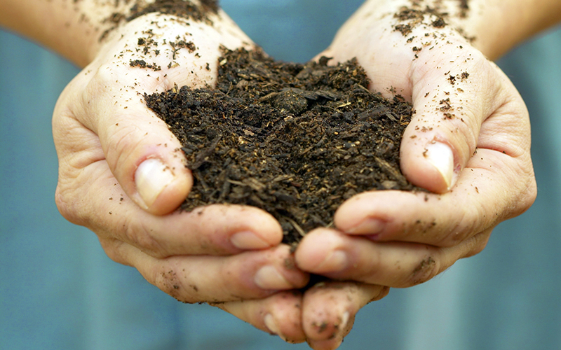 5 Ways to Reverse Climate Change
