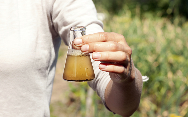 Flint Water Crisis and Our Environmental Rights