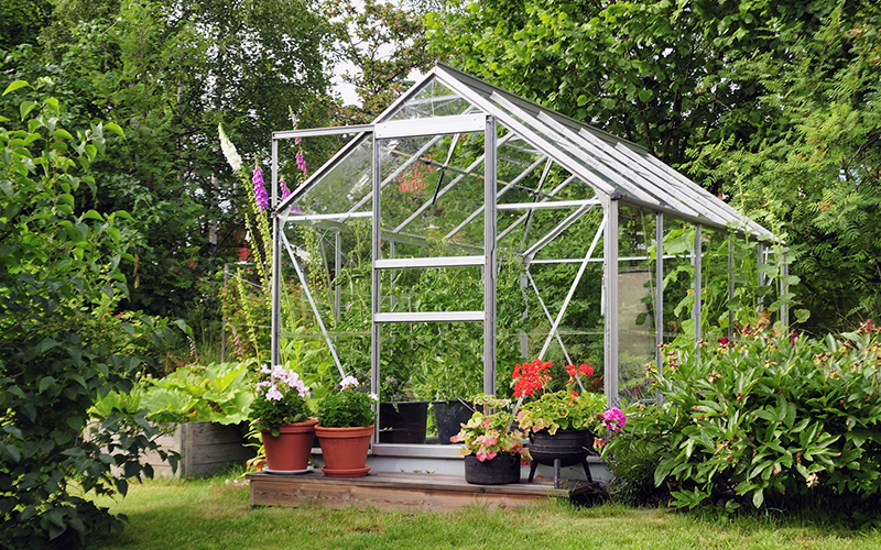 How to Care for a Greenhouse