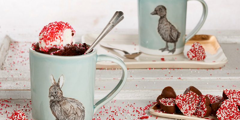 Fall in Love with This Brownie in a Mug