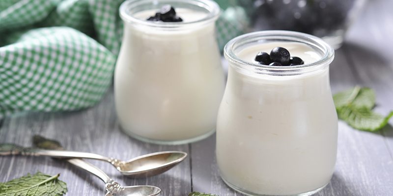 Homemade Nondairy Yogurt