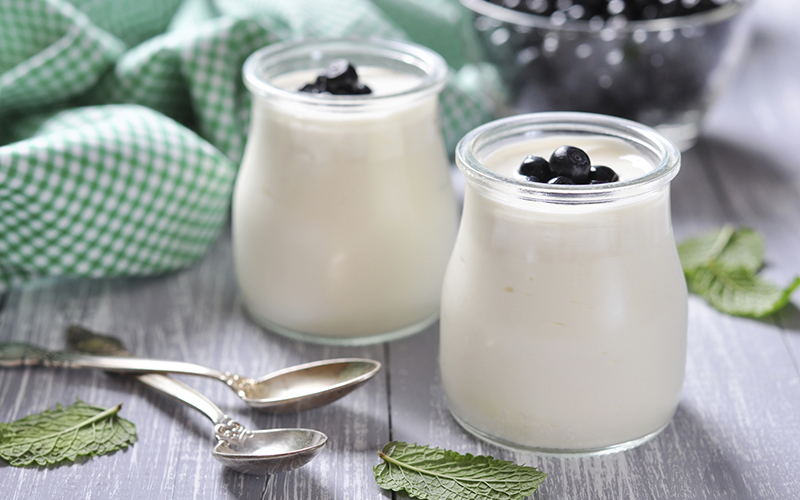 Nondairy Coconut Milk Yogurt