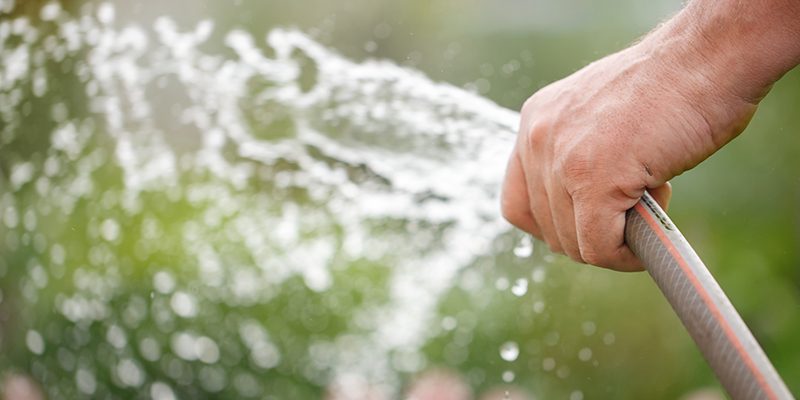 Why You Should Never Drink from a Garden Hose